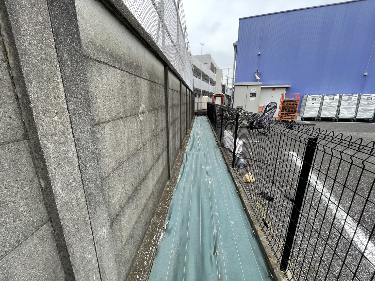 西東京市住吉町　草刈り・除草剤撒き後