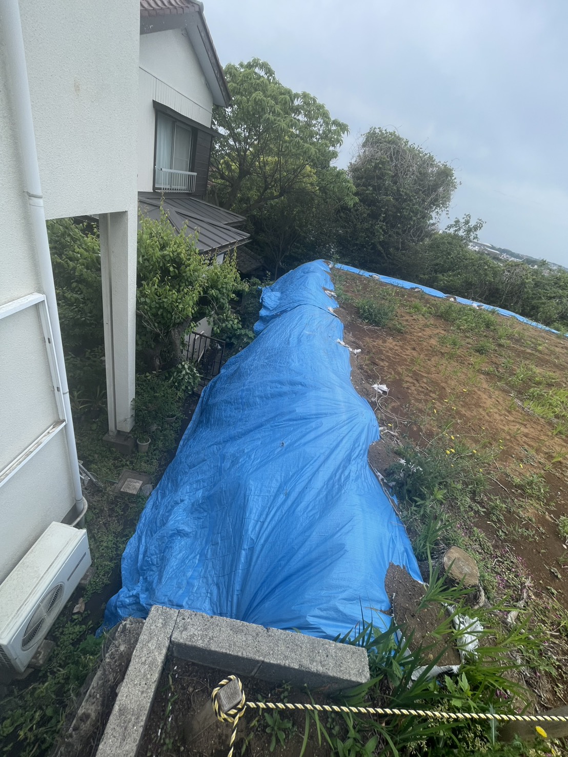 防草シート貼り直し前